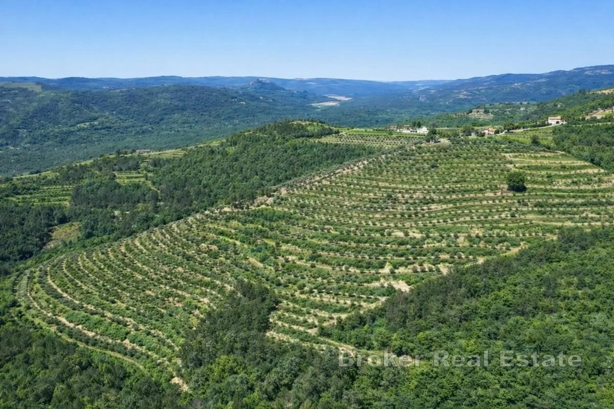 2 - plot of land for sale in pazin istria croatia
