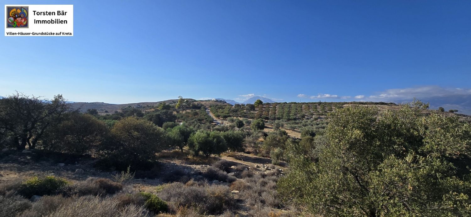 2 - vente terrain vue mer kalamaki crète grèce