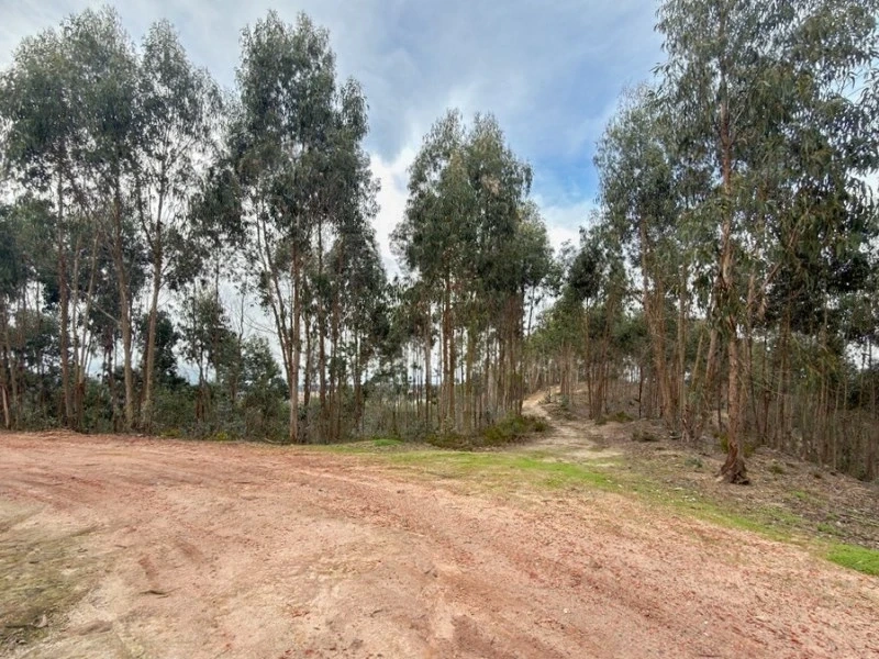 2 - plot of land for sale in torres vedras centro region portugal