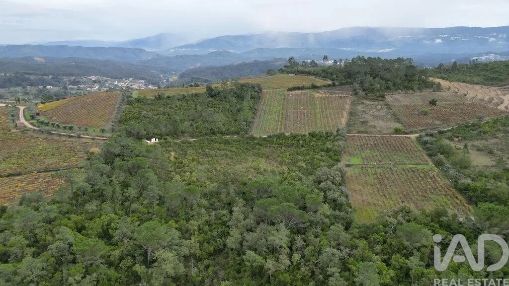 2 - venta terreno condeixa-a-nova región centro portugal