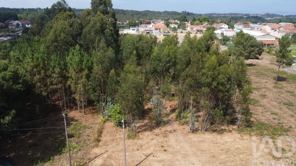 2 - vendita terreno sangalhos regione centro portogallo
