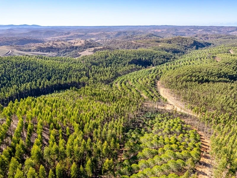 2 - plot of land for sale in odemira alentejo portugal