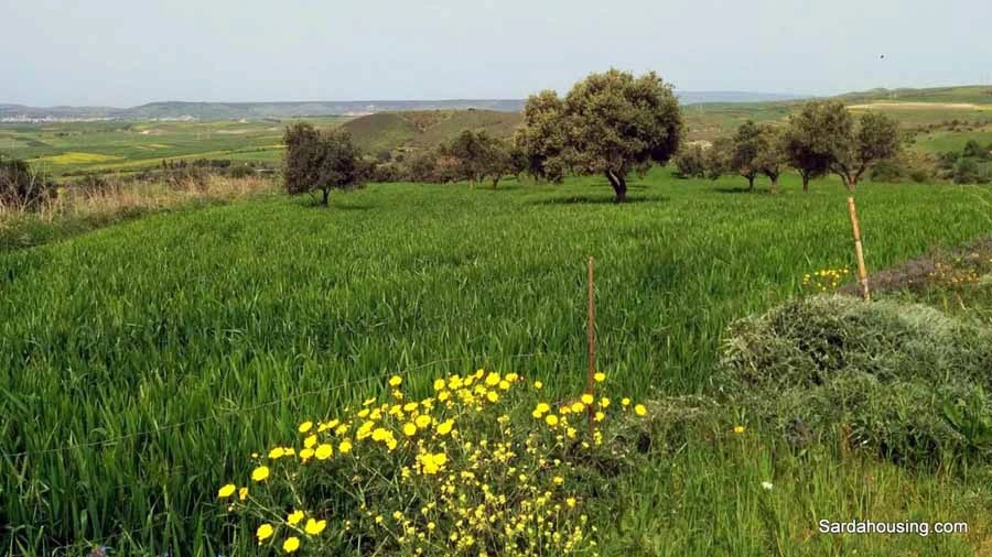 2 - plot of land for sale in villanovafranca sardinia italy