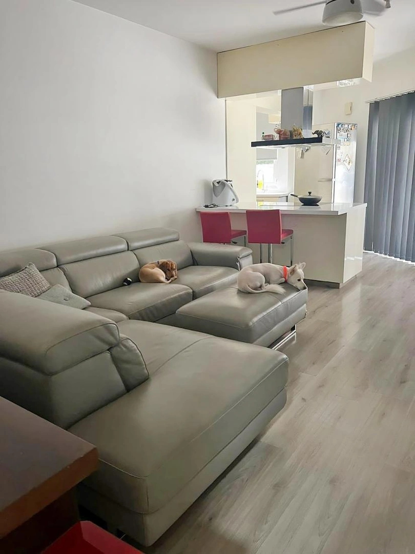1 - vente appartement nicosia nicosie chypre