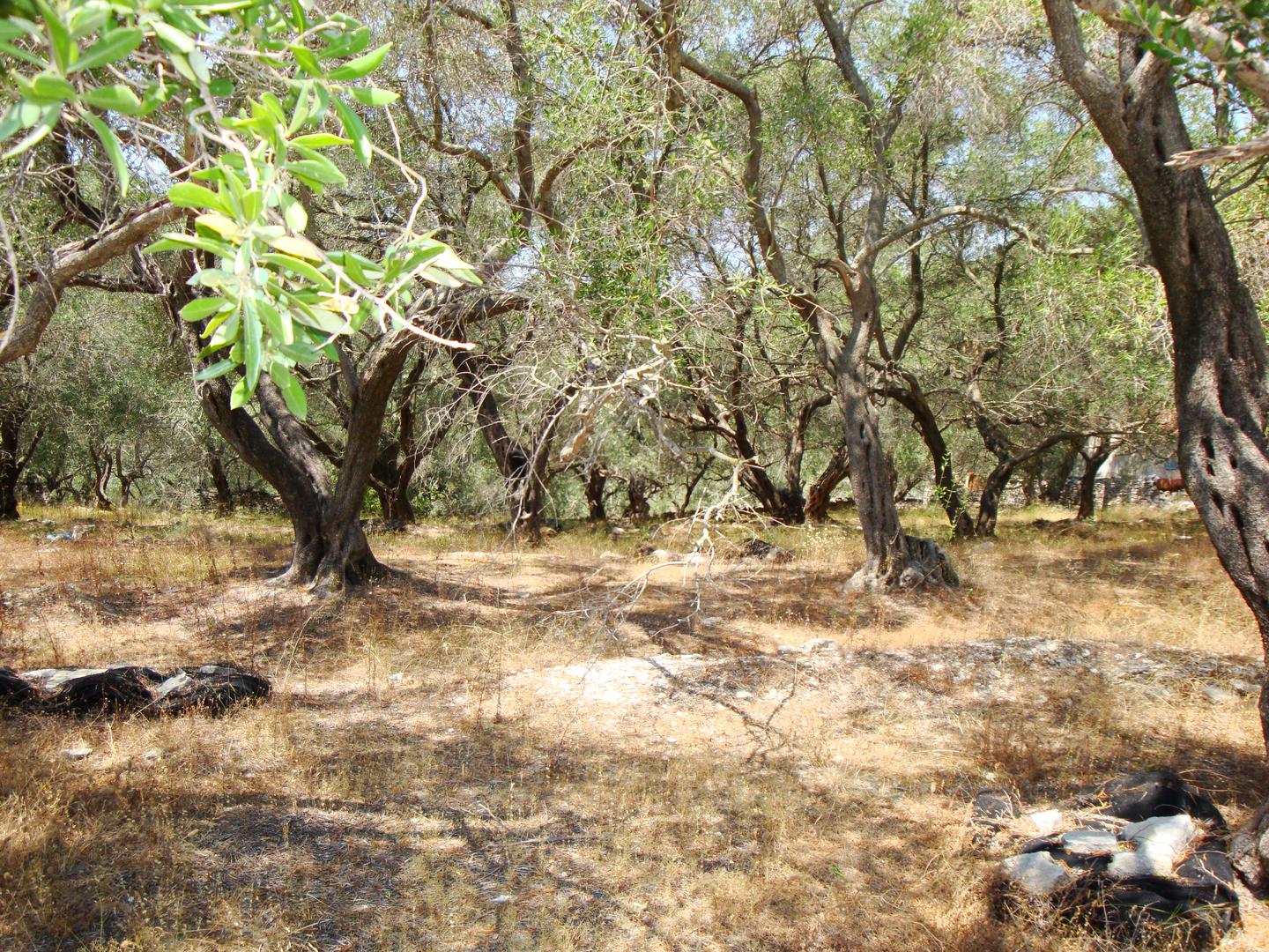 1 - plot of land for sale in loggos (paxos) ionian islands greece