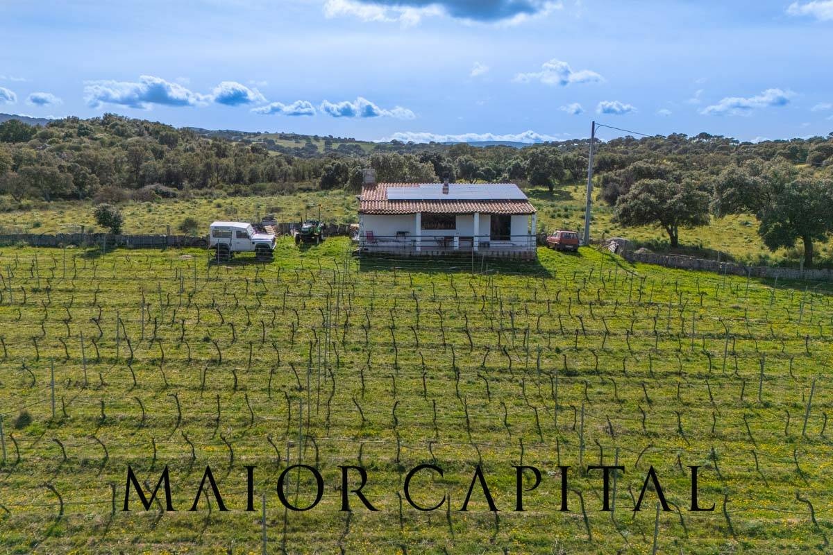 1 - plot of land for sale in oschiri sardinia italy