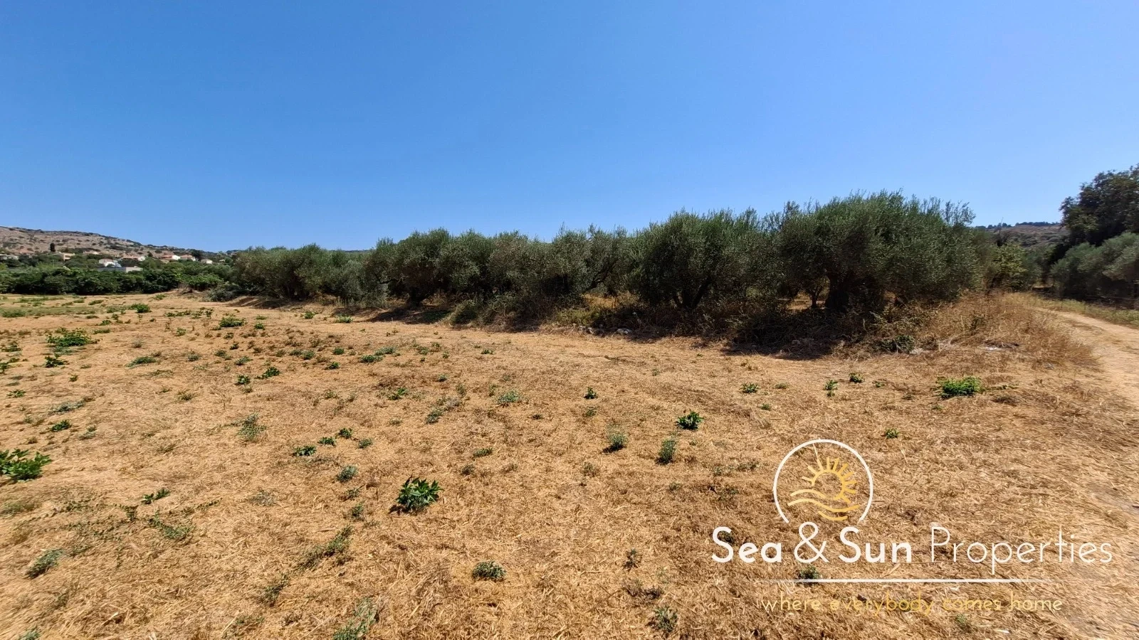 2 - vente terrain arménoi crète grèce