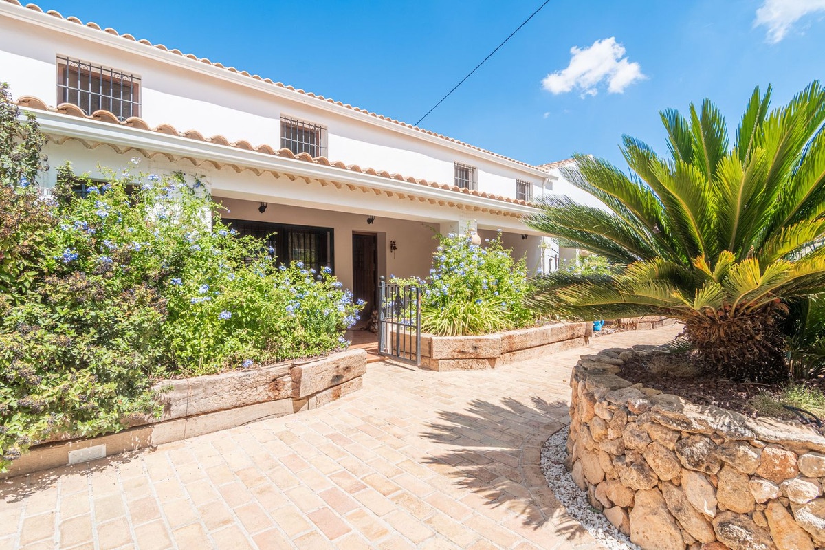 1 - business for sale in la romana valencian community spain