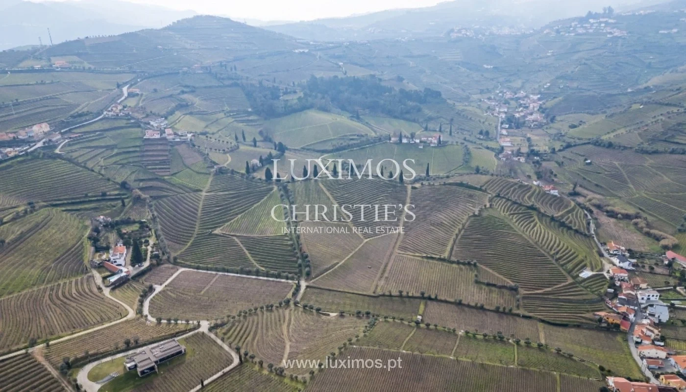 2 - vente propriété lamego région nord portugal