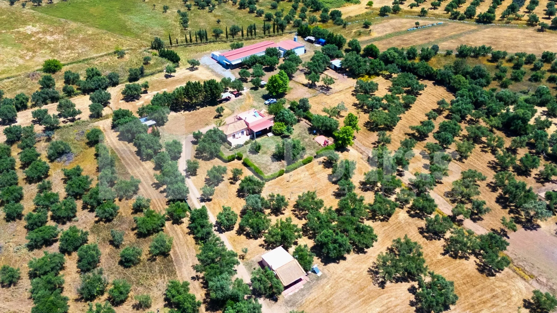 2 - venta casa meligalás peloponeso grecia