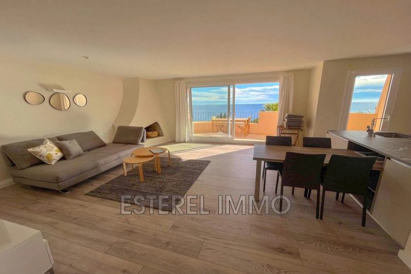 1 - apartment for vacation rentals in théoule-sur-mer alpes-maritimes france