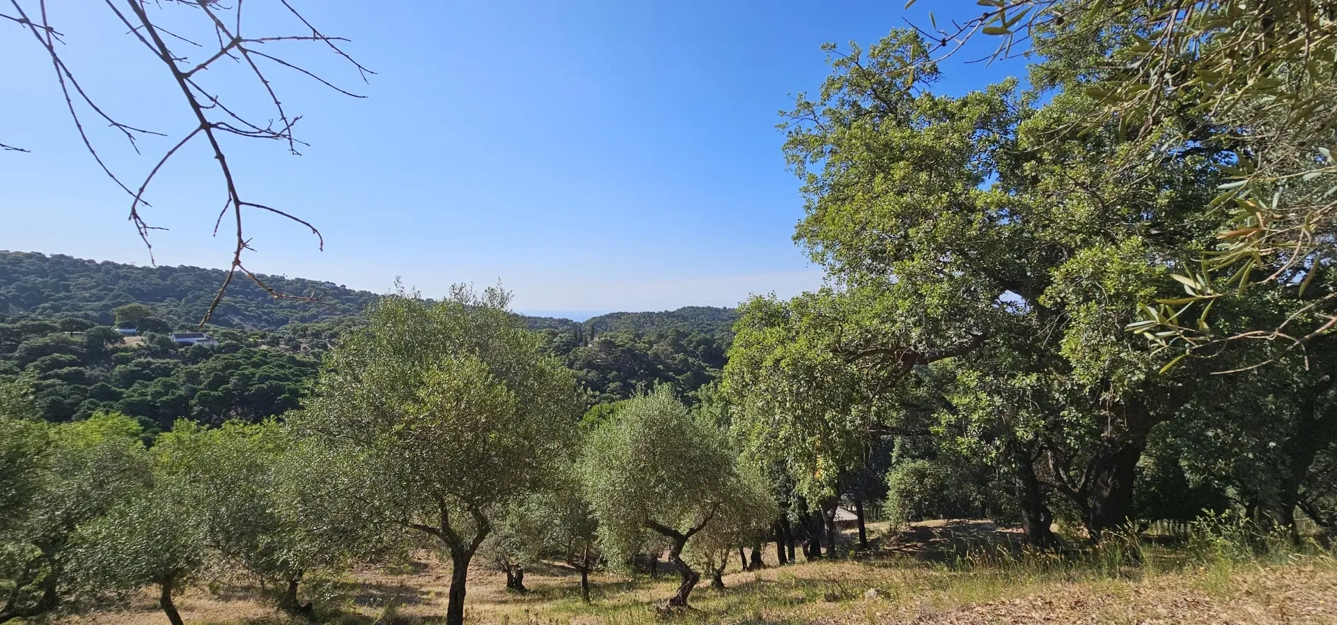 2 - vente terrain casares - costa del sol andalousie espagne