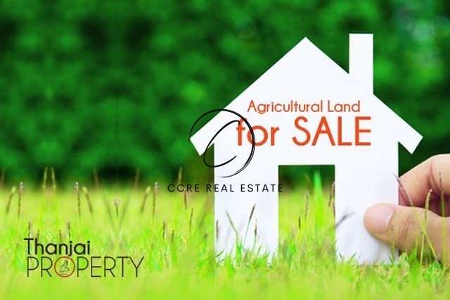 2 - plot of land for sale in athens attica greece