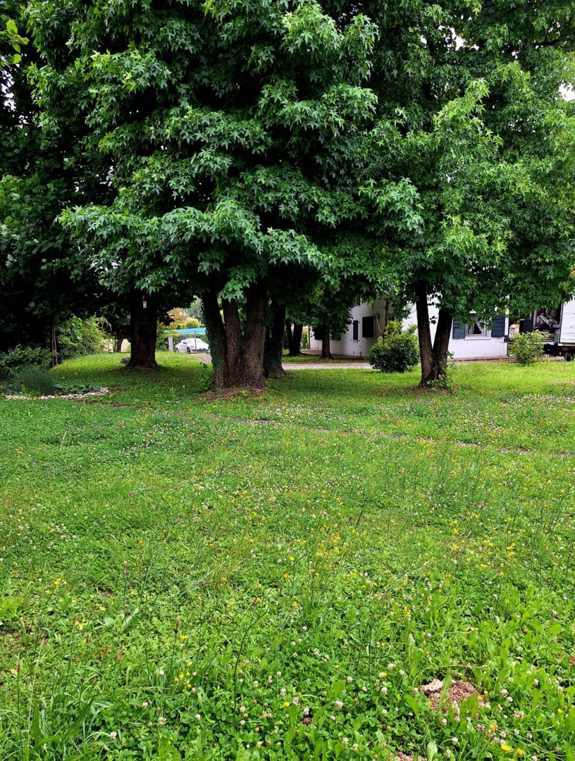 2 - house for sale in trebaseleghe veneto italy
