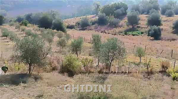 2 - venta terreno campagnatico toscana italia
