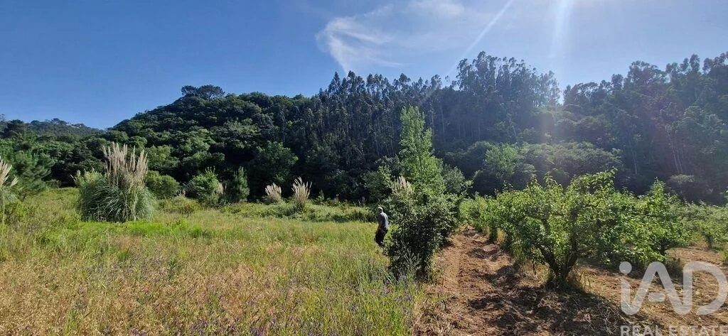 1 - venda terreno mafra região de lisboa portugal