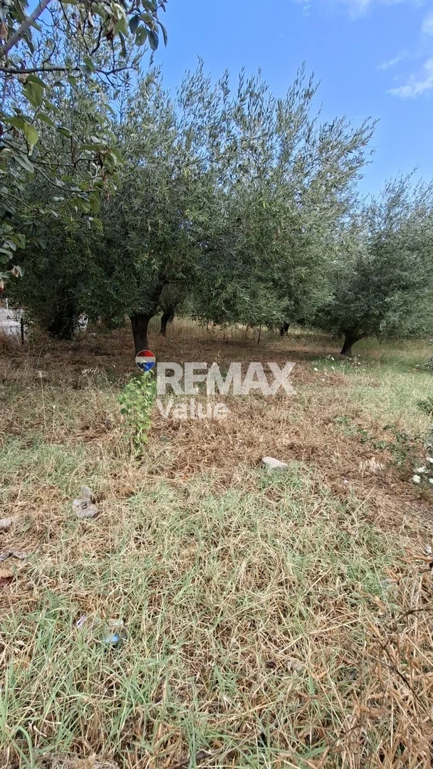 2 - plot of land for sale in lefkada ionian islands greece