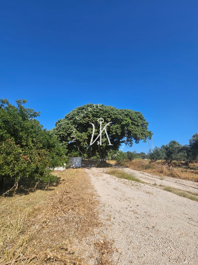 1 - vente terrain rhodes egée méridionale grèce