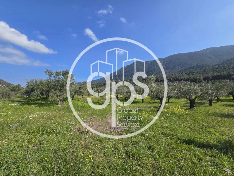 2 - plot of land for sale in perachóra peloponnese greece