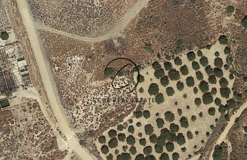 1 - vente terrain vue mer kos egée méridionale grèce