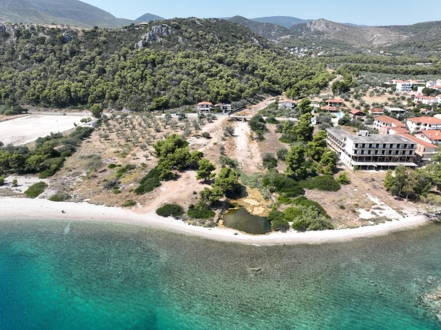 2 - vente terrain pieds dans l'eau almirí péloponnèse grèce