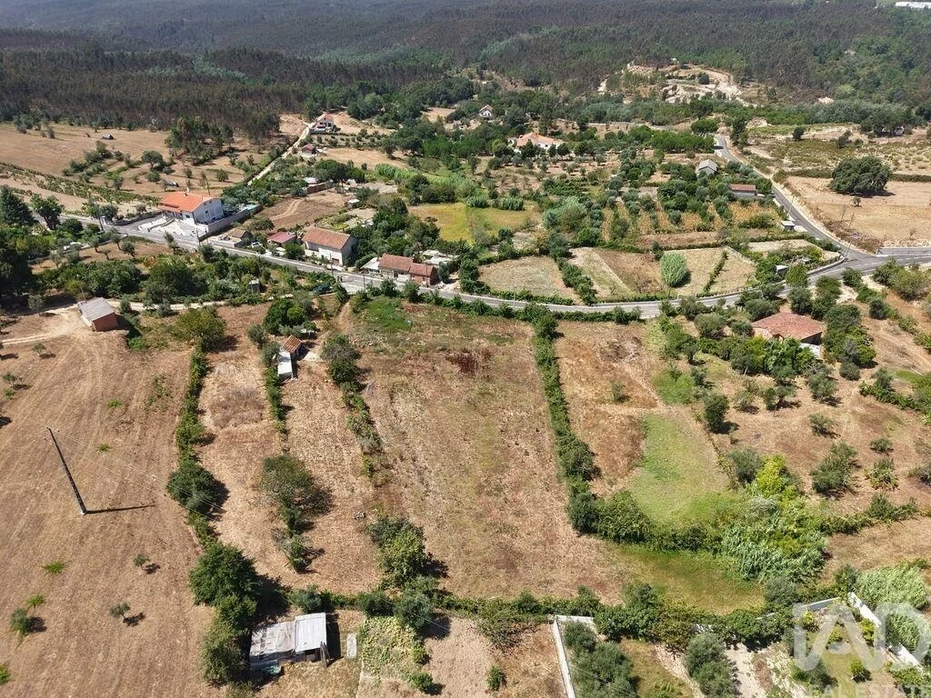 2 - plot of land for sale in carregal do sal centro region portugal