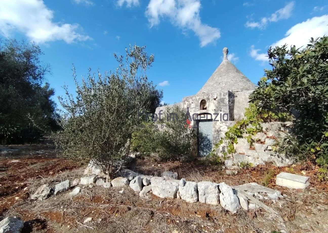 1 - house for sale in carovigno apulia italy