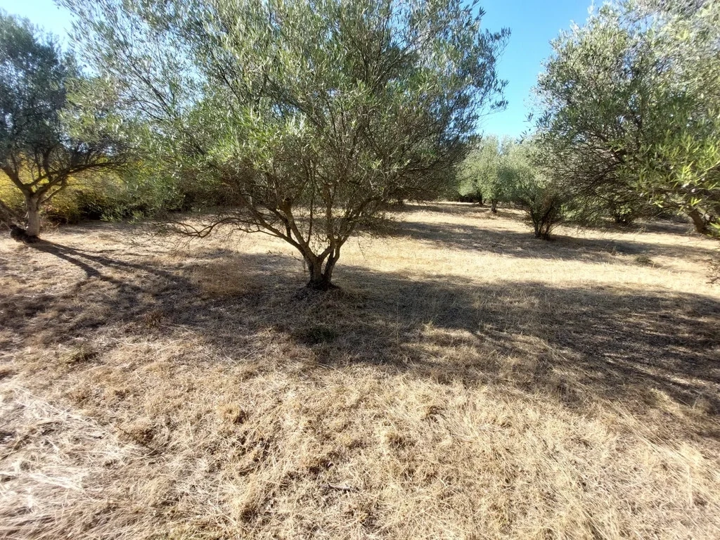 Plot of land of 3,500 m²