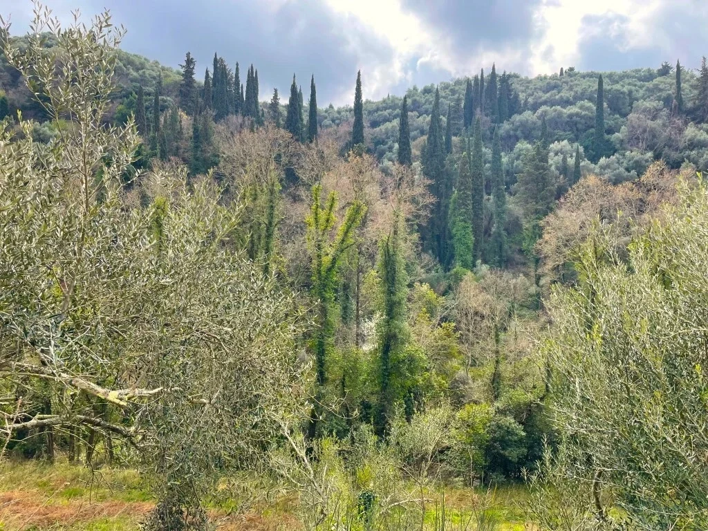 2 - plot of land for sale in ágios stéfanos ionian islands greece