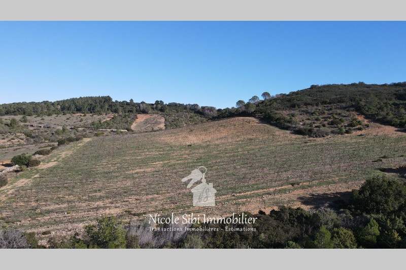 1 - verkoop terrein tautavel pyrénées-orientales frankrijk