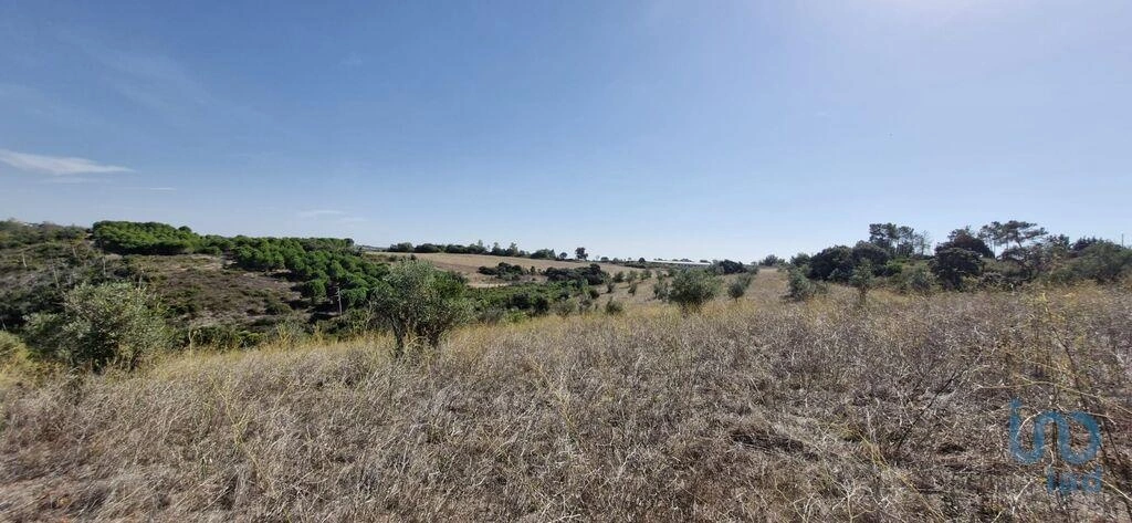 2 - vente terrain santarém alentejo portugal
