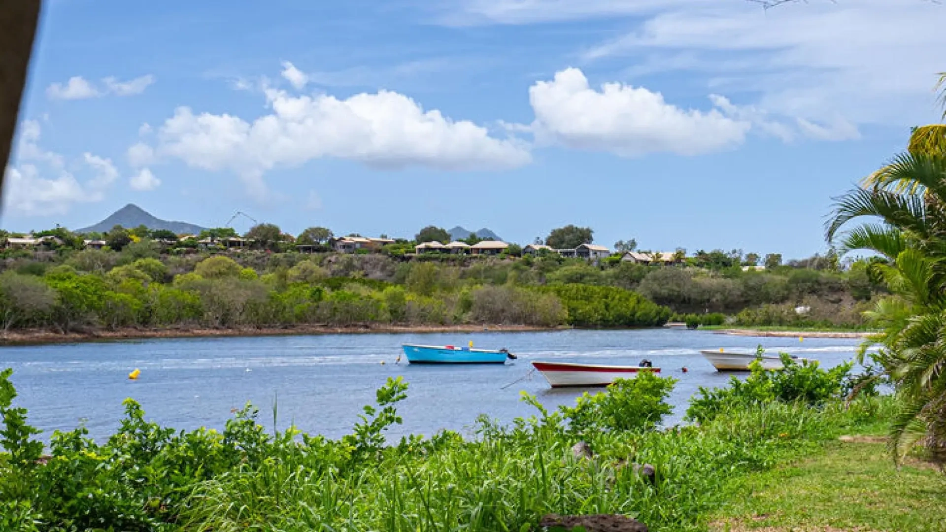 1 - vente appartement plage à pied rivière noire rivière noire île maurice