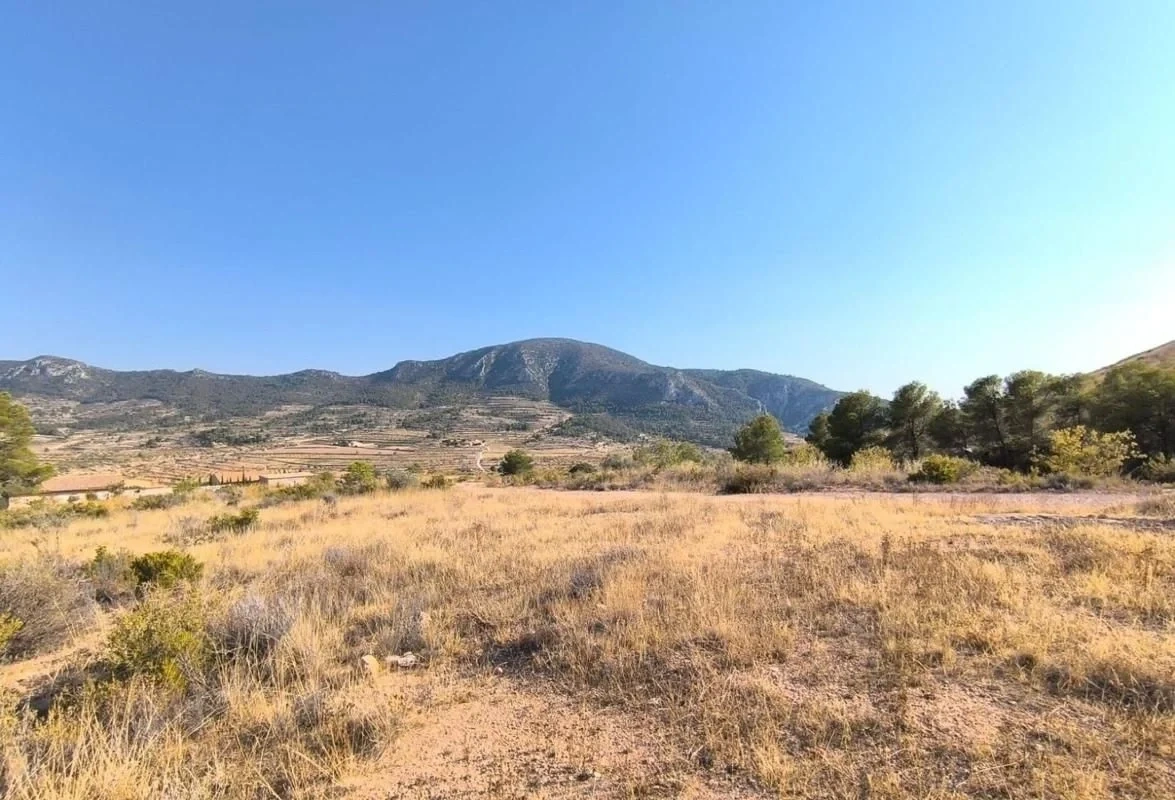 1 - sea view plot of land for sale in algueña valencian community spain