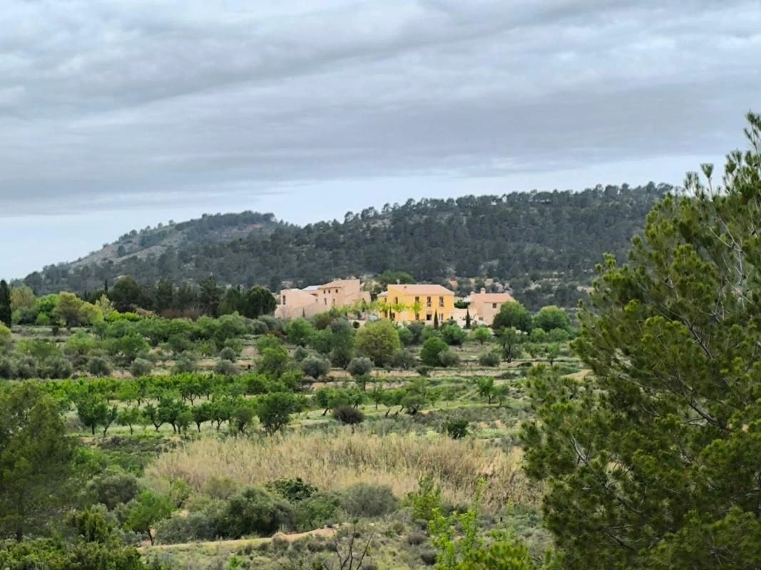 2 - vente maison monóvar communauté valencienne espagne