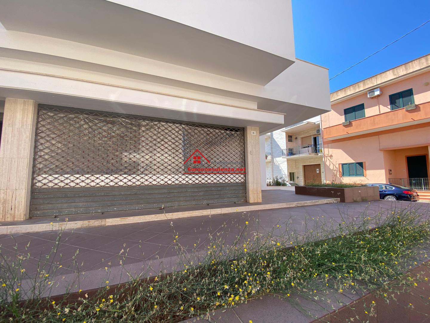 1 - verkoop winkel presicce apulia italië