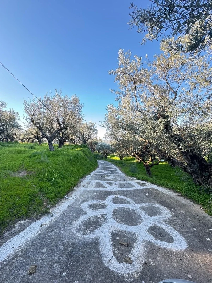 2 - vente terrain aíthaia péloponnèse grèce