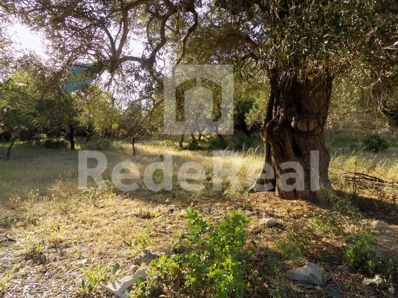 2 - venta terreno loulé algarve portugal