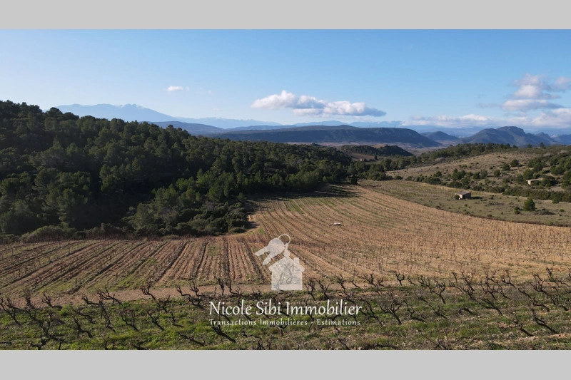 1 - venta terreno tautavel pirineos orientales francia