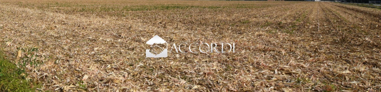2 - plot of land for sale in trevignano veneto italy