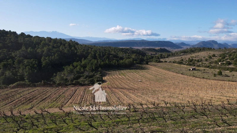 1 - verkoop terrein tautavel pyrénées-orientales frankrijk
