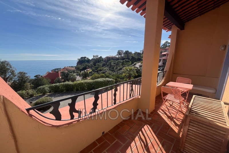1 - sea view apartment for vacation rentals in théoule-sur-mer alpes-maritimes france