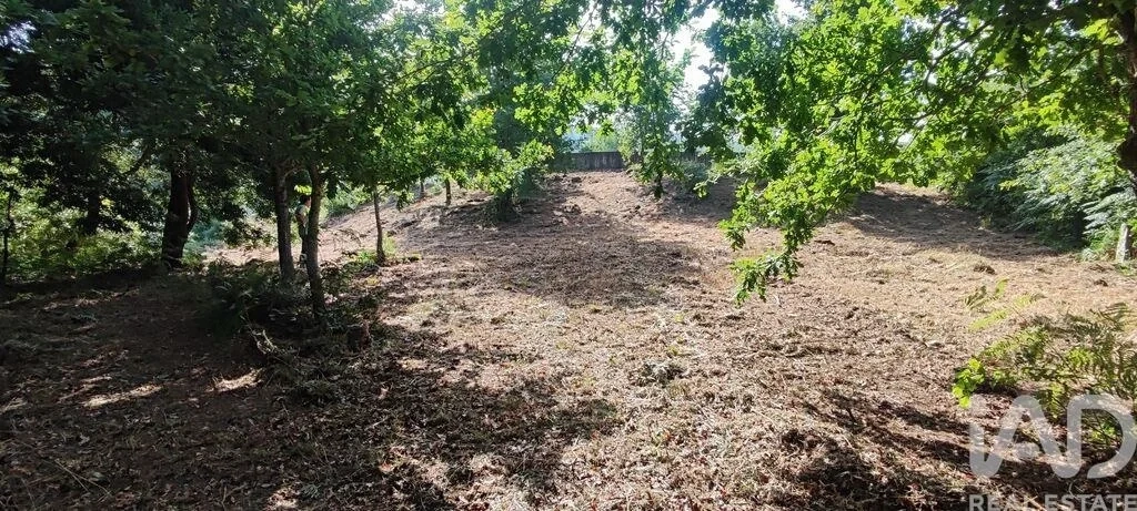2 - plot of land for sale in paredes de coura north region portugal