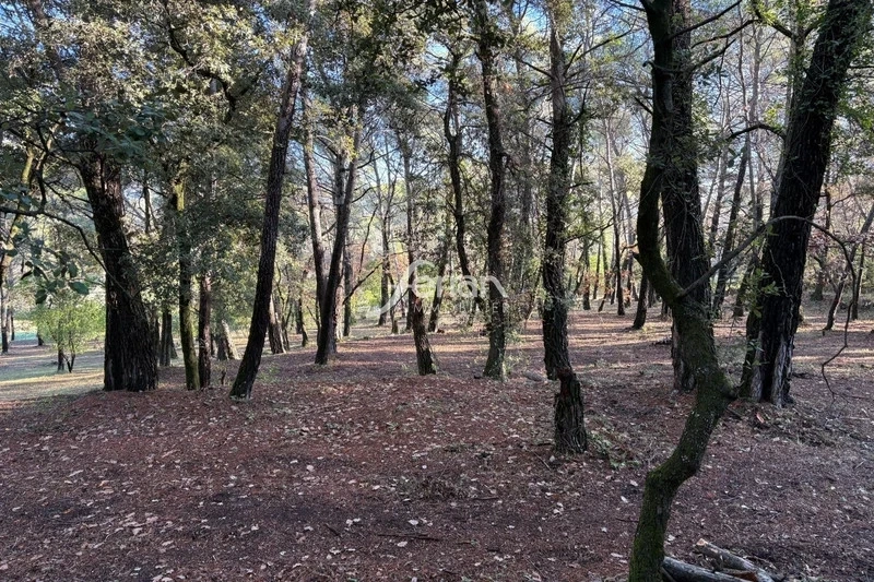 2 - venda terreno callas var frança