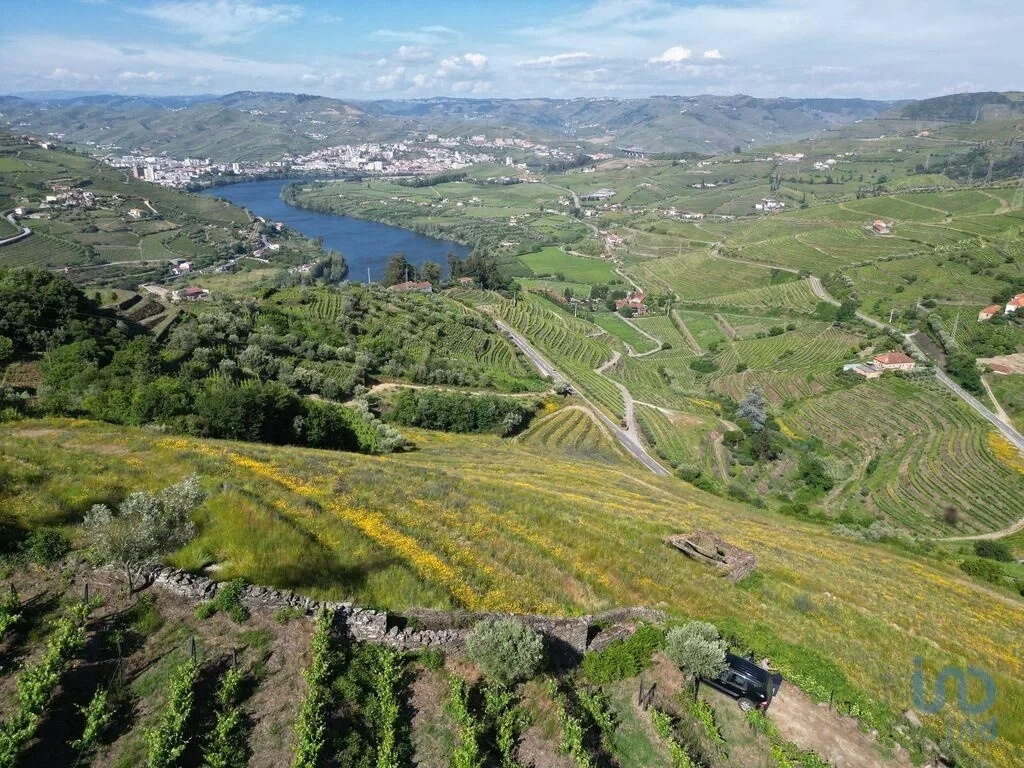 2 - продажа территория lamego северный регион португалия