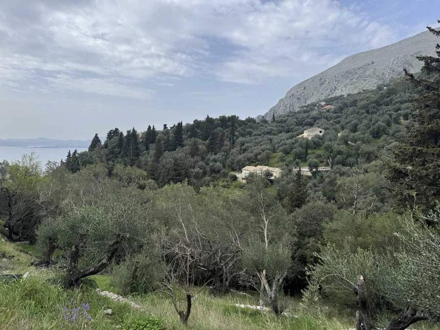 2 - vente terrain vue mer nissaki îles ioniennes grèce