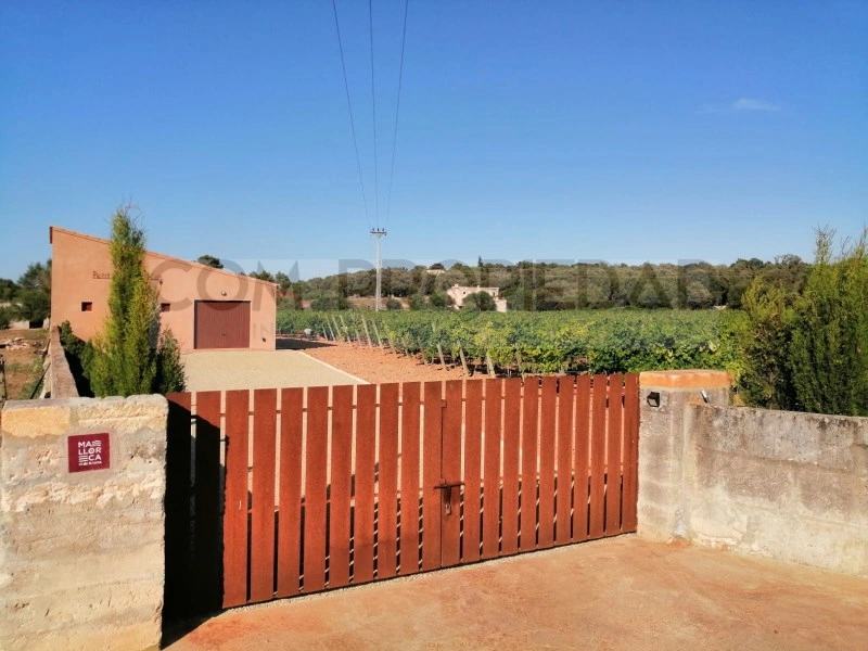 2 - estate for sale in costitx majorca - balearic islands spain