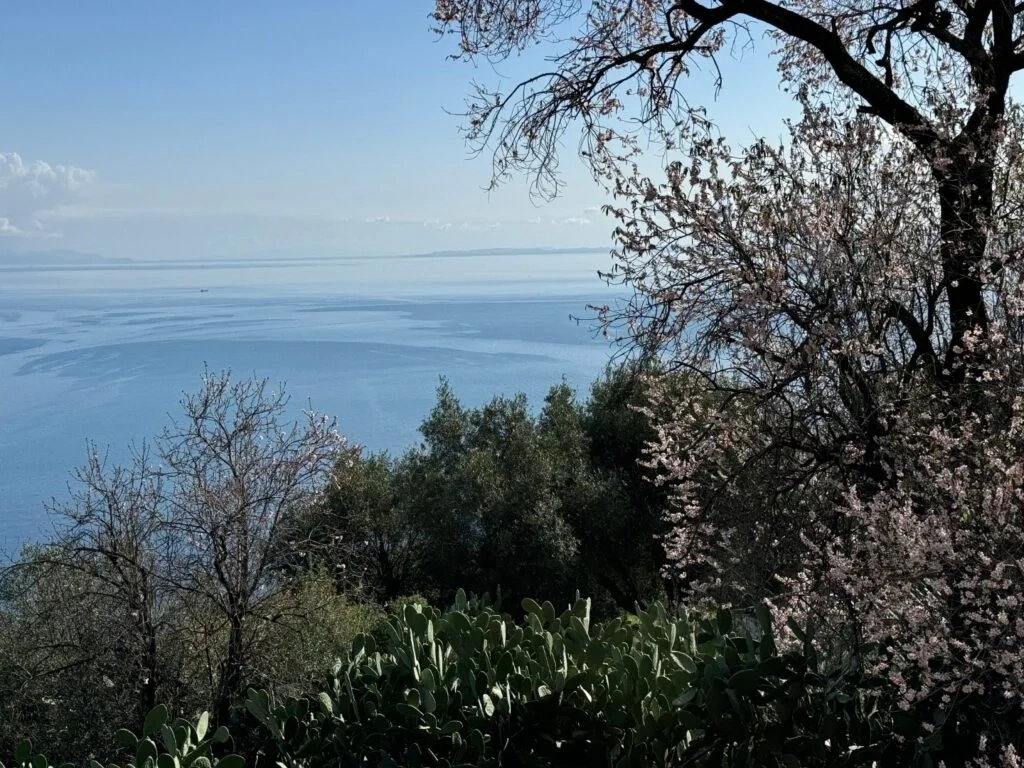 2 - vente maison vue mer katávolos îles ioniennes grèce