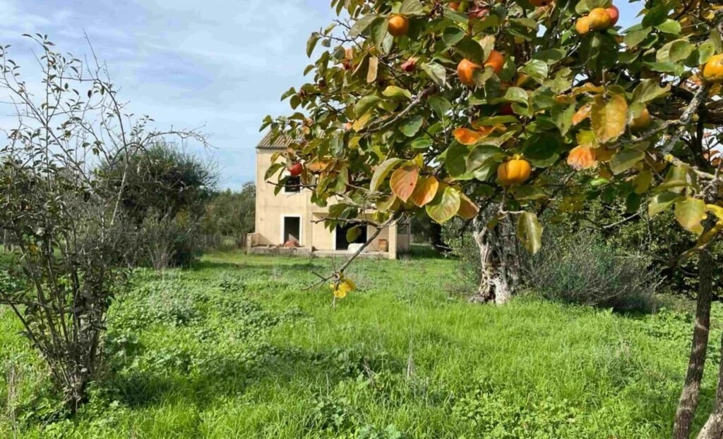 1 - vente maison corfu îles ioniennes grèce