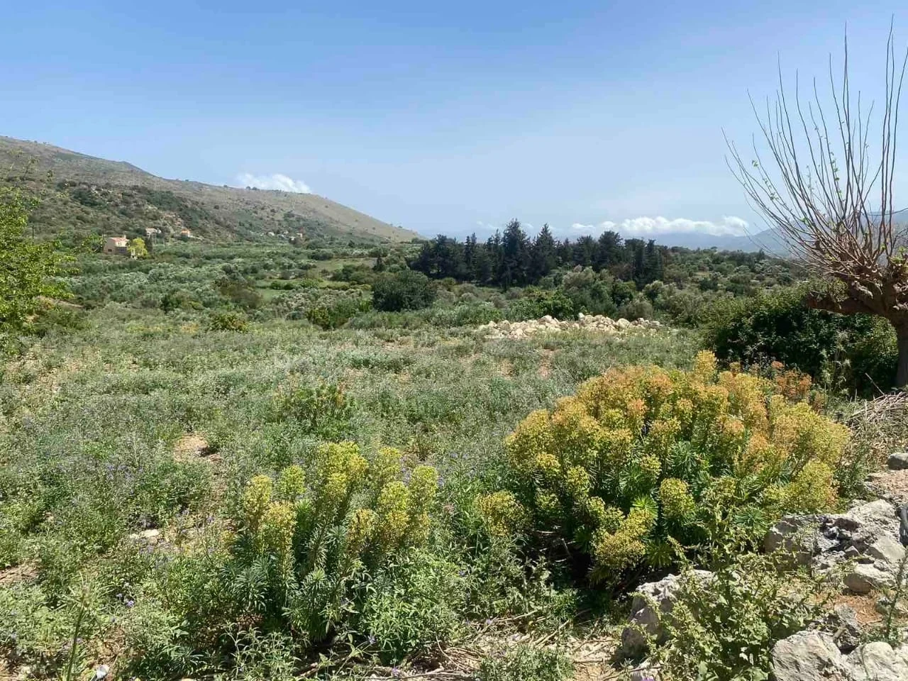 2 - vente terrain kalamítsi amygdáli crète grèce
