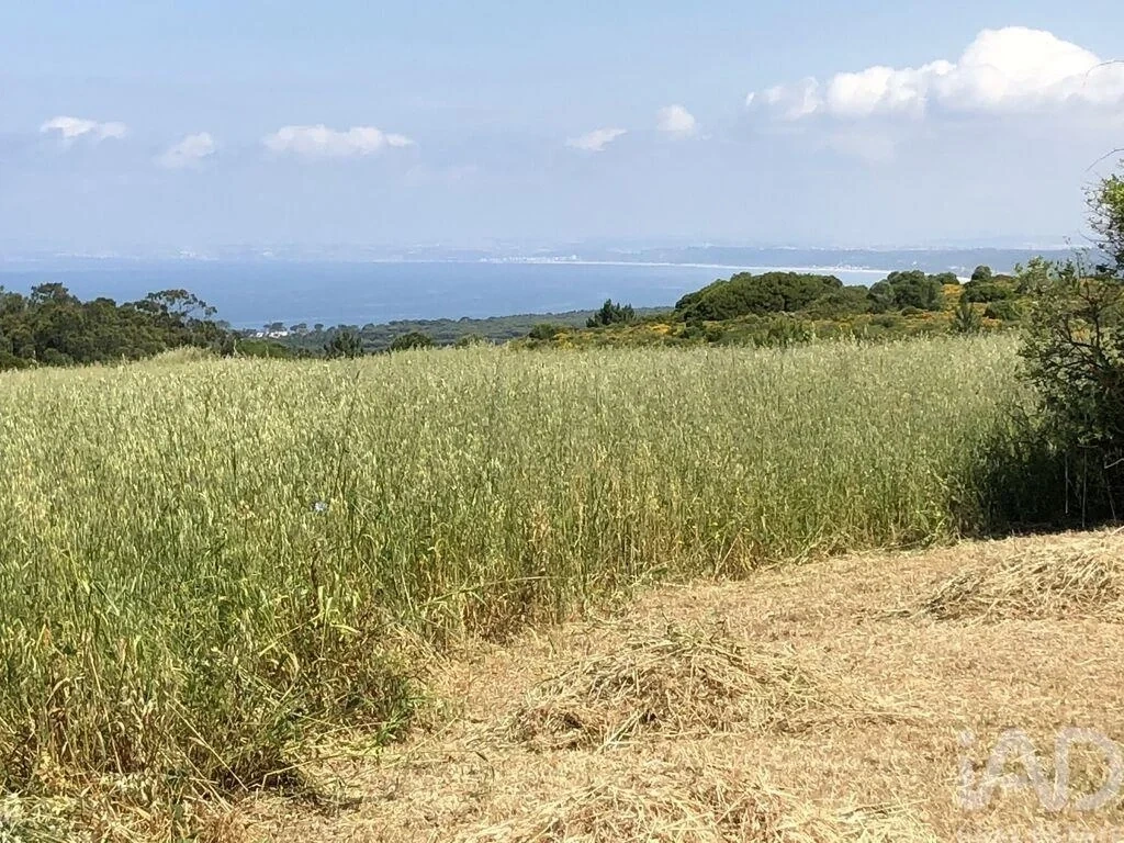 2 - plot of land for sale in sesimbra lisbon region portugal